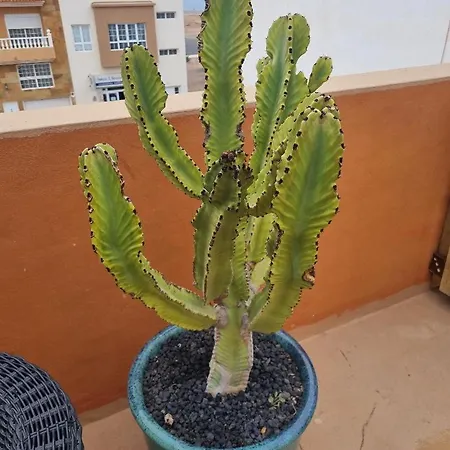 El Tranquilidad,nearsea,stylish,well Equipped