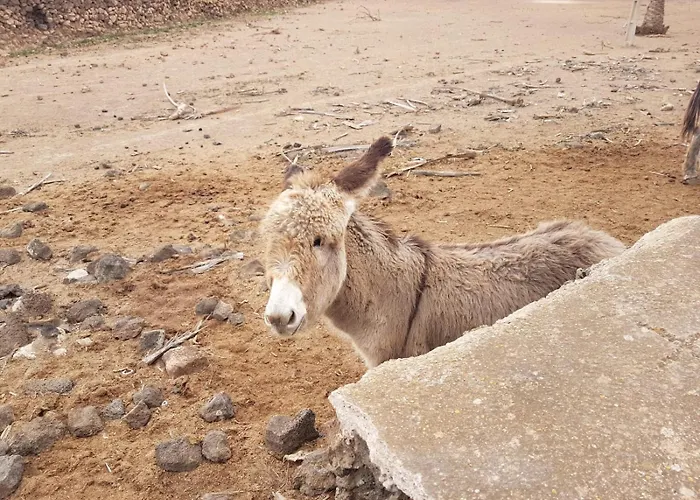 El Tranquilidad,nearsea,stylish,well Equipped شقة