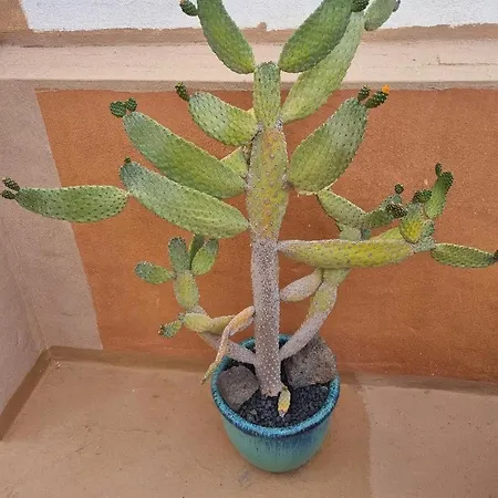 El Tranquilidad,nearsea,stylish,well Equipped Apartman Cotillo