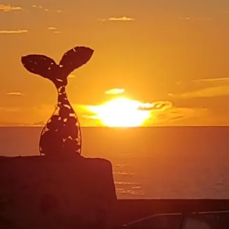 El Tranquilidad,nearsea,stylish,well Equipped Daire Cotillo