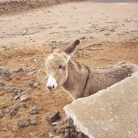 El Tranquilidad,nearsea,stylish,well Equipped Daire